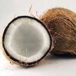 Coconut